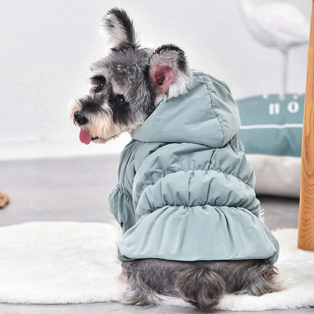 New Princess Dog Pet Warm Dress Hoodie Floral Bubble Skirt Winter Coat Outfit for Small Dogs 6 Sizes